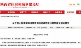 陕西小庄爆料案件最新消息,案情再掀波澜，真相逐步浮出水面